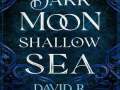 Dark-Moon-Shallow-Sea