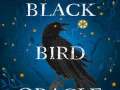 The-Black-Bird-Oracle