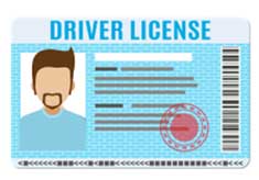 Driver's License Man
