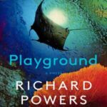 Book cover, Playground