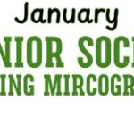 January Senior Social growing microgreens