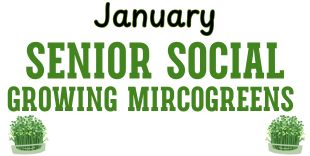 January Senior Social growing microgreens