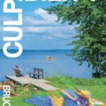 Book cover, Culpability