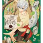 Book cover, In-the-Name-of-the-Mermaid-Princess,-Volume-3