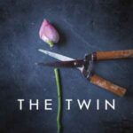 Book cover, The-Twin